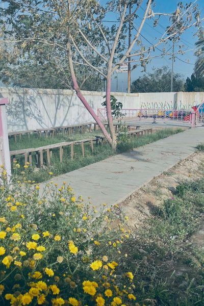 82d7afe5-a98d-4fba-ae8f-6a58be56e407